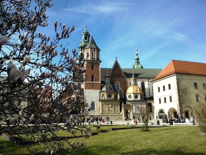 Wawel kathedraal