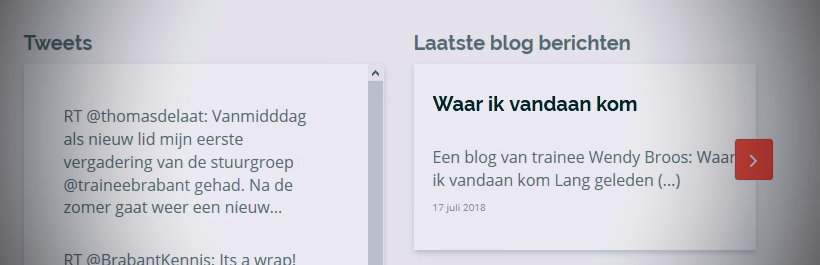 een screenshot van de website van De Toekomst van Brabant, met daarop een vermelding van mijn blogpost
