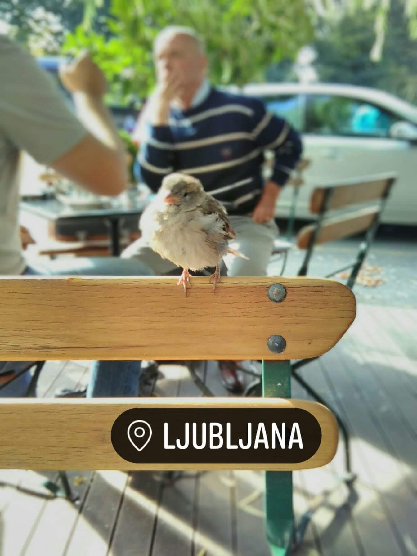 Ljubljana