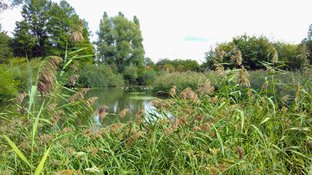 Brabantpark, Breda